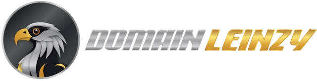 Logo-Domain-Leinzy
